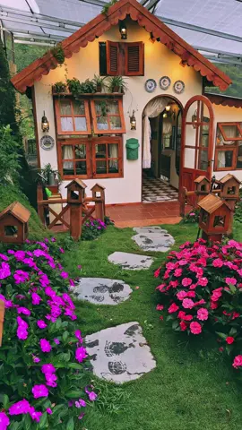 Căn home siêu xinh cho 2-4 người.. #dalat #reviewdalat #tiemcaphenhabenrung #homestaynhabenrung #homestaydalat 