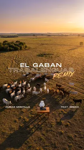 El Gabán trabalenguas remix