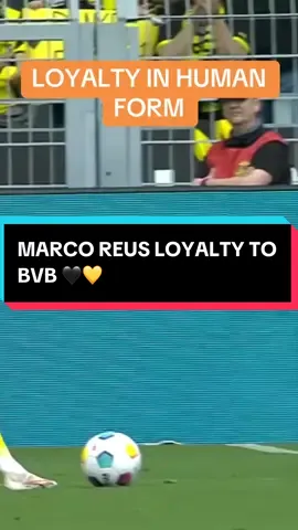 Reus Man. So loyal to Dortmund #fyp #foryou #reus 