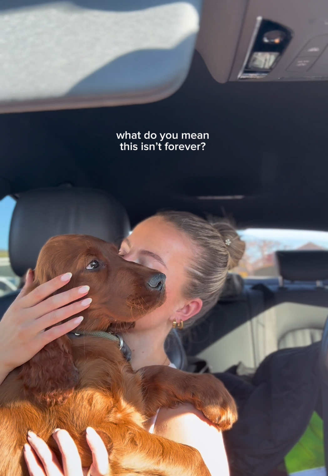 Life is short give your dog some extra snuggles 🤍 #puppycuddles #souldog #heartdog #mansbestfriend🐶 #fyp 