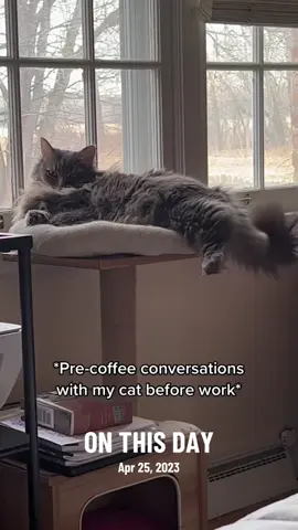 Haha. #lookatmycat