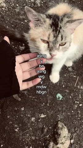 #fyp 