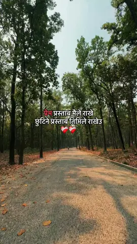 सुरु मैले गरे, अन्त्य तिमिले गरेउ 🥺❤️‍🩹 #fypシ゚ #fyppppppppppppppppppppppp #palpa 