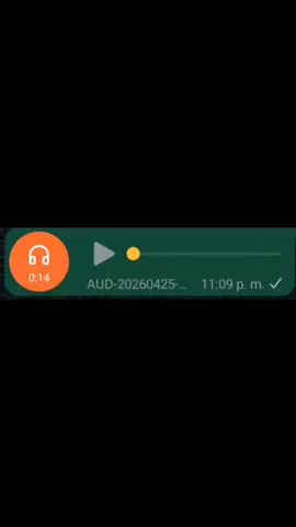 Njd #audiosparatiktok #audiosdewhatsapp #fypシ #foryoupage #notadevoz 