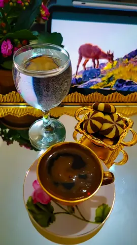 #صباح_الخير #قهوتي#اسطنبول  #سوريا_تركيا_العراق_السعودية_ 