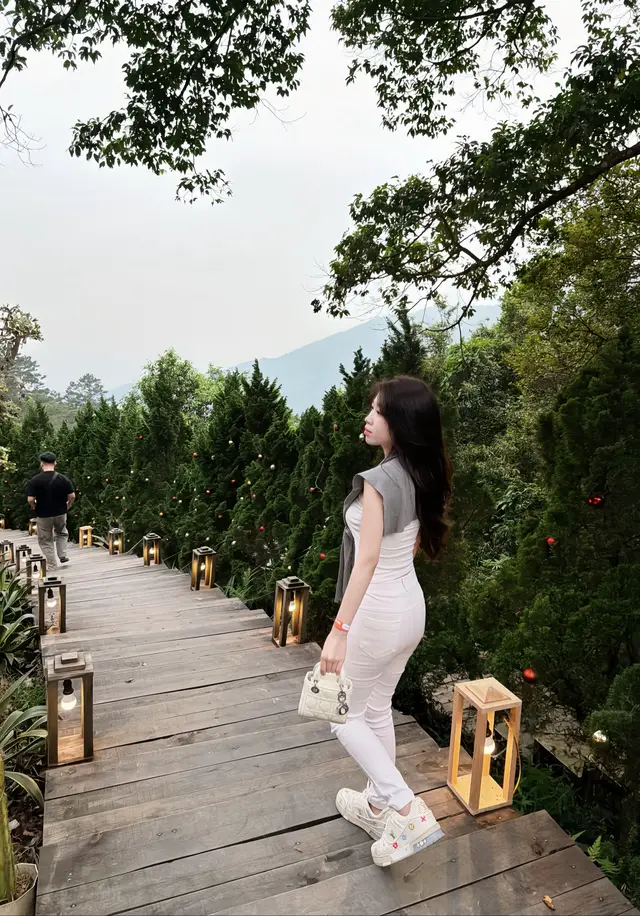 Đà lạttt ở Tam đảo🤭 chiếc quán cafe siêu chill