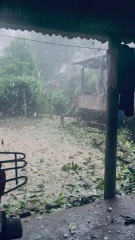 কালবৈশাখী ঝড়ের মাঝে,, হে আল্লাহ হু আকবার বলে ডাকতেছে..!🤲🤲আল্লাহতায়ালা যেন হেফাজতে রাখে সবাইকে আমিন। #foryoup #foryoupage #trnidingsong #vairal_video #bangladesh 