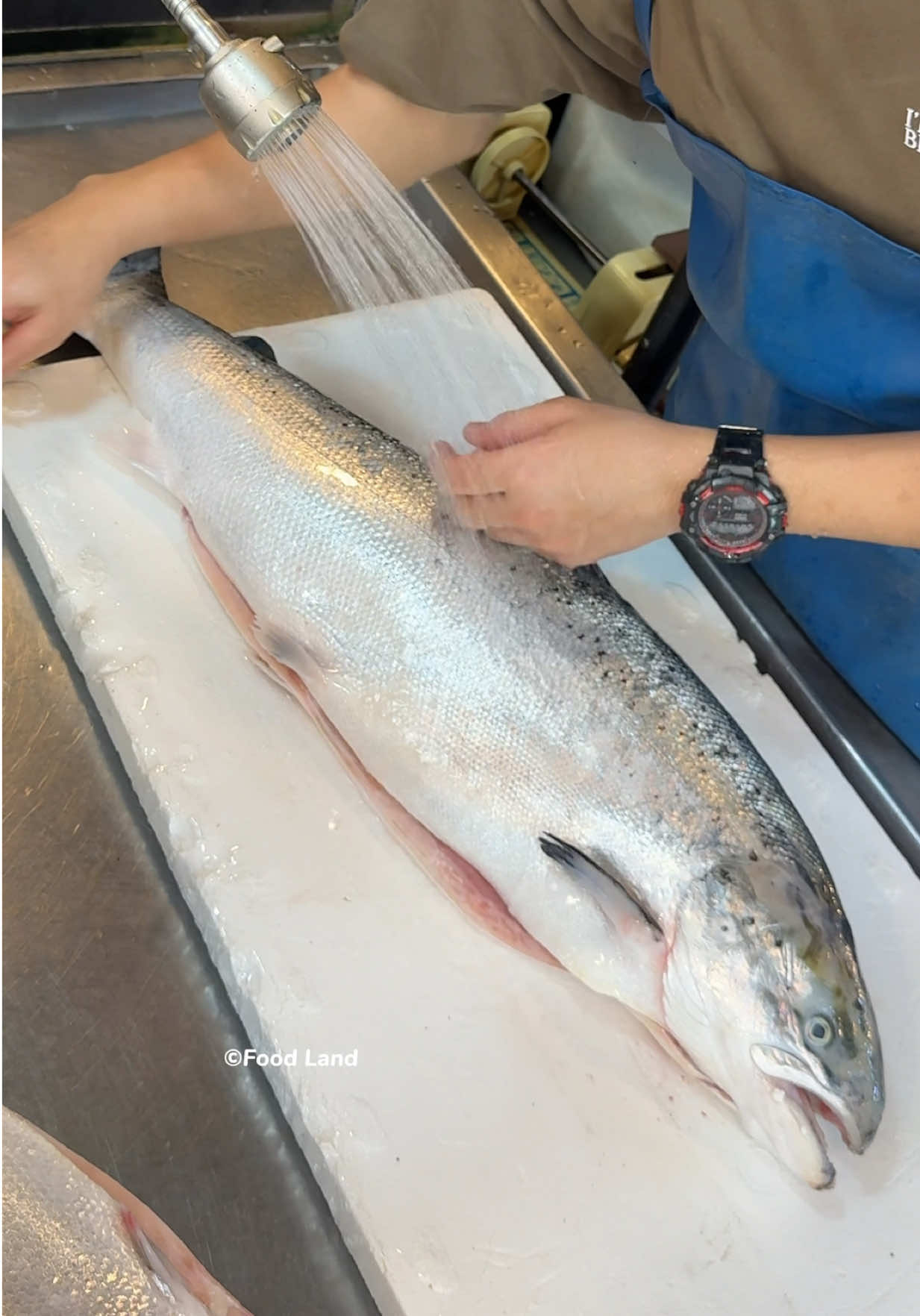 Masterful skills!! Lightning-fast salmon filleting 🔪🐟🔥 . Shop name: Ta Long Day  📍Location: Thonburi Market Place, Bangkok, Thailand     #tiktokgogrow  #asmr #foodland #fruit 