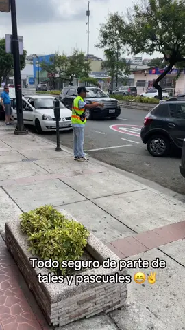 Todo seguro con tales y pascuales 😁