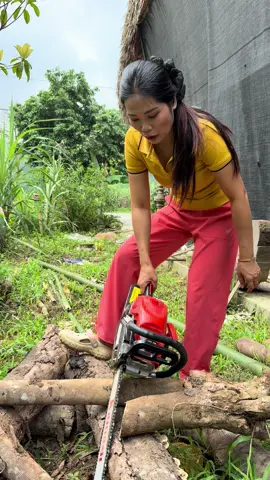 Máy cưa xích cầm tay giá tốt #maycuaxich #maycuaxich #maycuaxich #xuhuong #re 