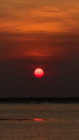 Đưa tay ra thì sợ sai, rụt tay về lại sợ lỡ. Lùi một bước chẳng đành, tiến một bước lại thấy mình không đủ tư cách...! #daophuquy #tourdaophuquy #dulich #tamtrang 