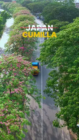 কুমিল্লার বুকে এক টুকরো জাপান 🌸 #Cumilla #flowers #highway  #abdur_rahman_fihad 