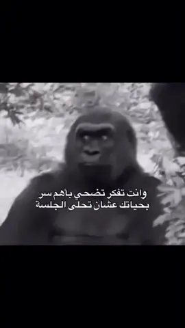 تبعوني برد المتابعة 🩷