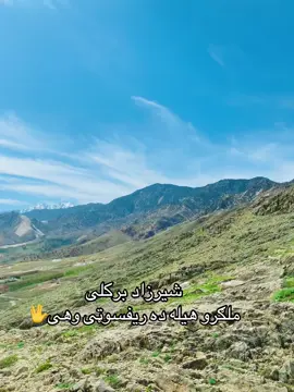 #foryou #sharzad #ملګروانګلسی_کمنت_یویودویت_وکی_منننه #fyppppppppppppppppppppppp #ملګرو_اکاونټ_می_فالو_کړی 