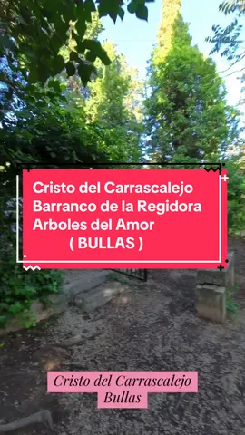 🌿✨ Ruta por el Cristo del Carrascalejo, el Barranco de la Regidora y los Árboles del Amor  📍 Cristo del Carrascalejo 📍 Barranco de la Regidora 📍 Árboles del Amor Una ruta circular de unos 3km 👣, perfecta para desconectar y disfrutar de la naturaleza 🌳💚 📍 Bullas, Región de Murcia #parati #bullas #senderismo #familia #regiondemurcia 