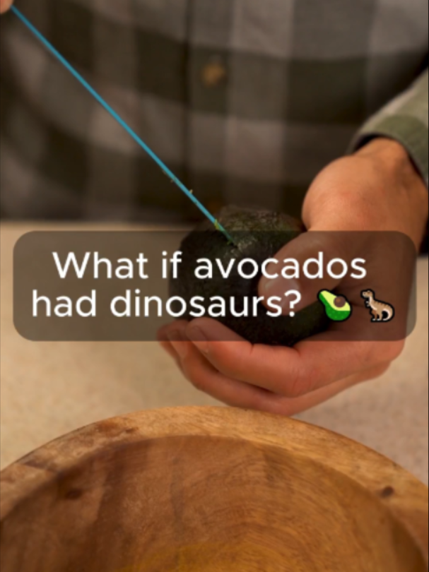 I cut an avocado and found dinosaurs! 🥑🦖 This is what Jurassic Park actually looks like... Tag someone who loves dinosaurs! 👇 #Egypt #fyp #Avocado #usa