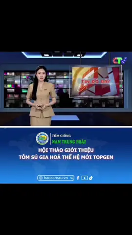 Giới thiệu dòng tôm thế hệ mới #tomgiongnamtrungphat #thegiahoathailand #sugiahoathailand #TomGiong #ketnoichiasethanhcong 