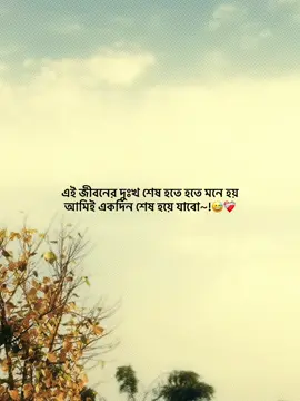 এই জীবনের দুঃখ শেষ হতে হতে মনে হয় আমিই একদিন শেষ হয়ে যাবো~!😅❤️‍🩹 #fyp #trending #unfrezzmyaccount #bdtiktokofficial #foryoupage 