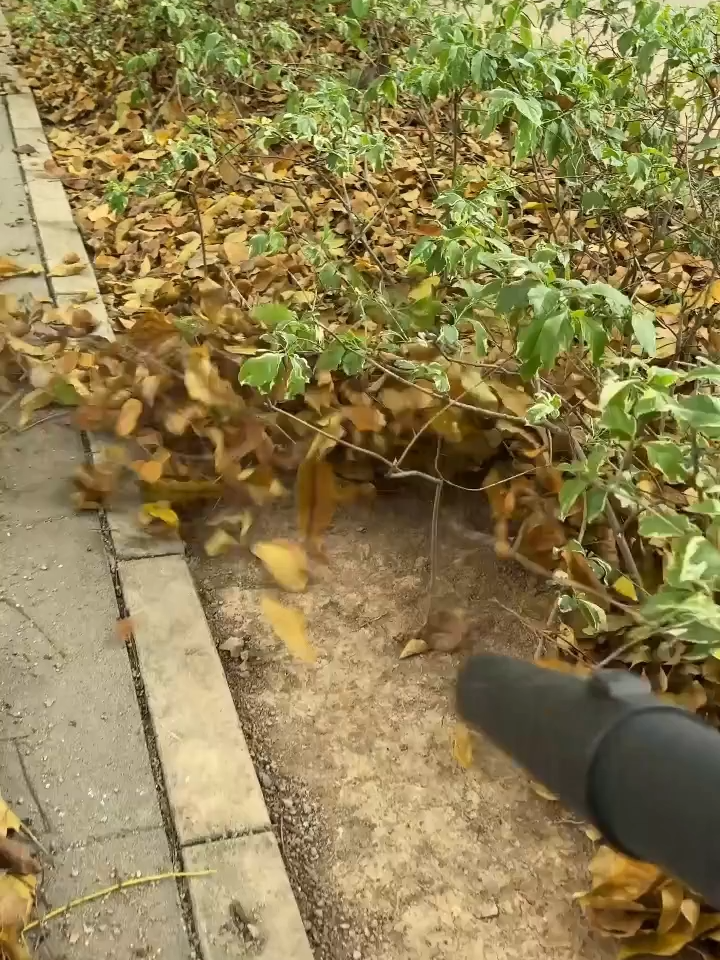 Meet your new cleaning helper: Seesii 3145U Brushless Leaf Blower! 90000 RPM high-speed motor, 780 CFM & 400 MPH for powerful cleaning. Only 3.6lbs lightweight, easy for one-hand operation. #SummerVibes#seesii #powertools #seesiitool #BrushlessLeafBlower #hardware #AUTOREPAIR #MECHANICS #LeafBlower #diy #fyp