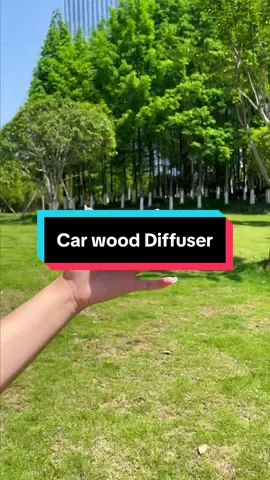 Eliminate 99% of the odors in your car #auto #aromatherapy #car #carairfreshener 