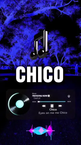 Mi Chico Song 🎧👍🎵 #fyp #lyrics #remix #michico #englishlyrics 