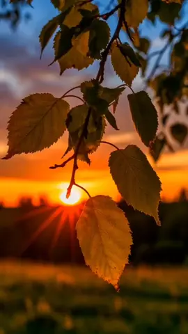 #لکھے جو خط تجھے @GHAZI #foryou #fyb #viral #foryoupage🕊🕊🌼🌿🌼🕊🫶🥀🫴