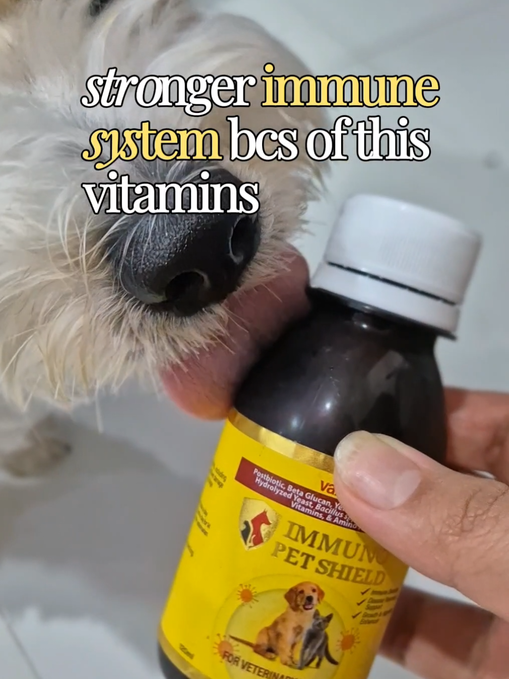 immuno pet shield has been one of our trusted vitamins for our dogs to strengthen their immune system 🥺🐾 #Vitamins #VitaminsForDogs #DogVitamins #ImmunoPetShield #DogEssentials 