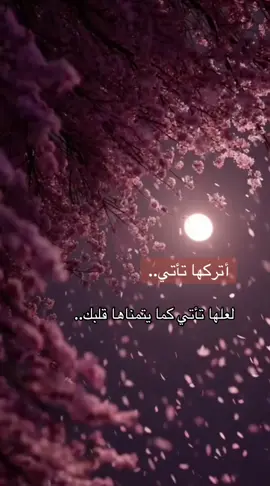 أتركها تأتي#حكم_وأمثال_وأقوال -خواطر-قصائد-شعر#schyar #