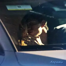 idk what was in the air that day in july 2021 🥹💔 #tomdaya #tomholland #zendaya #kiss #edit 
