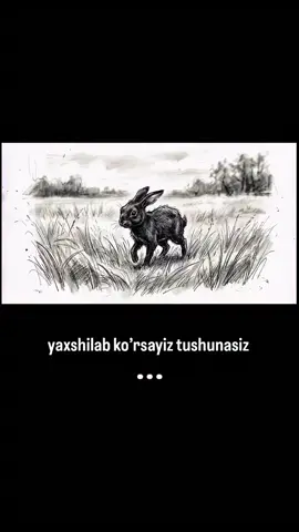 Kim tushundi comentariya da oz fikringizni qoldiring 