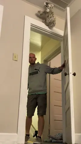 His reaction 💦🤣🤣#scareprank #jumpscare #fun #family #prank 