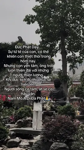 Nam Mô A Di Đà Phật #phatphapnhiemmau #loiphatday #viral #outfitdichua #xuhuong 