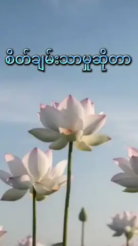 ဓမ္မအဆုံးမများ #တရားတော်များ #buddha #dhamma 