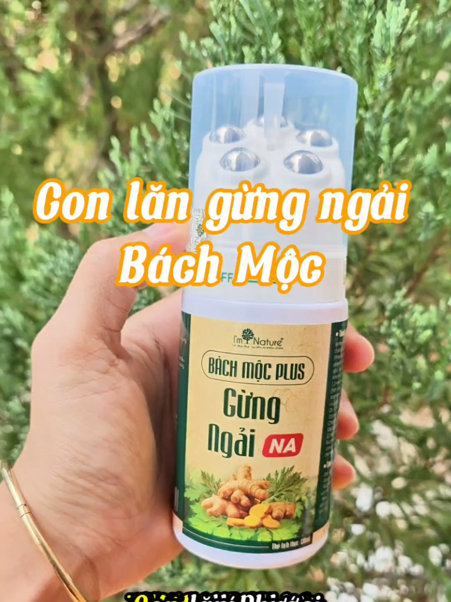 Con Lăn Massage Gừng Ngải Bách Mộc Plus #conlanmassage #conlangungngai #ThuHaiFreeship #tiktokshop #Thu4LiveFest 