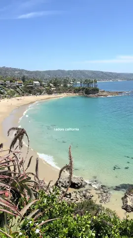 Today in Laguna ✨ #lagunabeach #california #beach 