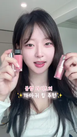 봄웜 라이트 립 추천⤜♡⤞