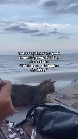 #quotestory #katakatastorywa_ 