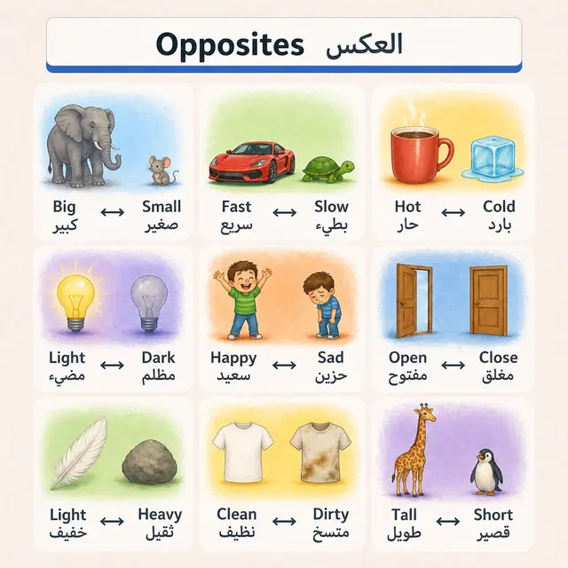 كم كلمة عرفتوا؟🧐 #تعلم_على_التيك_توك #fyp #arabic #تعلم_اللغة_الإنجليزية #foryou 