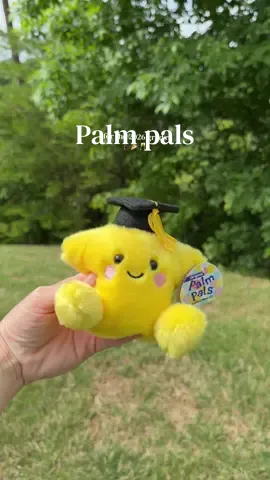 Tiny gift, big “you did it” energy ⭐🎓 This adorable little  Palm Pals grad star is the cutest way to celebrate their big moment—soft, sweet, and something they’ll actually keep long after the cap comes off 🥹 Perfect for gift baskets, party favors, or a little surprise to say “I’m proud of you” 💛 #palmpals #graduation #graduationgift #stuffedanimal #prekgraduation 