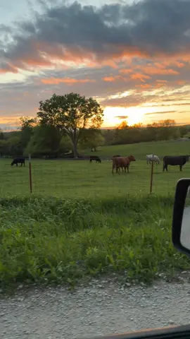 #missouri #fypシ゚viral #countrylifestyle #farmlife #backroadscrew 