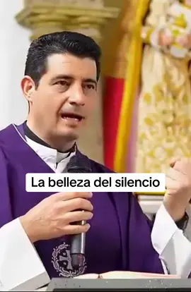 La belleza del silencio #iglesiacatolica #catholictiktok #catolicostiktok #familiacatolica 