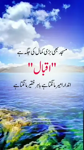 مسجد بھی بڑی کمال کی جگہ ہے 