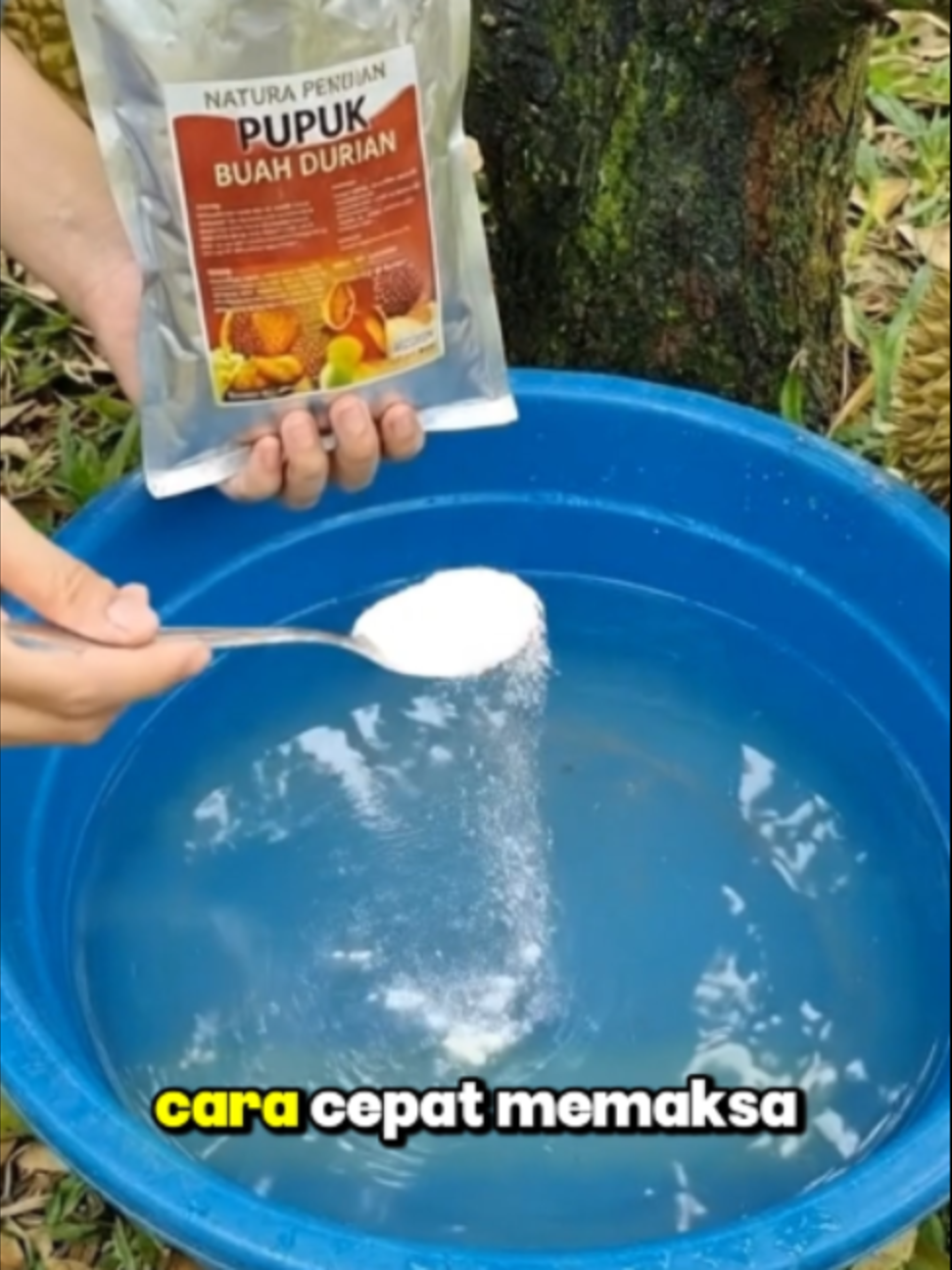 Investasi kecil, hasil panen stabil! 📈 Cukup dengan kemasan 250g, pohon kamu sudah dapat nutrisi organik lengkap. Solusi praktis dan ekonomis untuk ningkatin kuantitas serta kualitas buah tanpa harus boncos. Buktikan sendiri bedanya! 🍎✨ Amankan stoknya sekarang di keranjang kuning! 🛒 #PertanianModern #PupukBuah #HasilPanen #BoosterTanaman #PetaniCerdas #Ekonomis #SolusiBerkebun #FYP