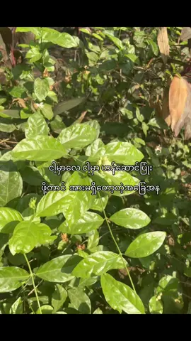 ပင်ပန်းတယ် #viwes #fypシ  #fyppppppppppppppppppppppp  #08 