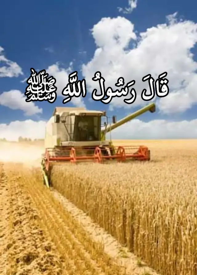 تُعتبر الصلاة الركن الثاني من أركان الإسلام الخمسة، وهي عمود الدين والصلة المباشرة بين العبد وربه.  إليك أهم المعلومات الأساسية حول الصلوات في الإسلام: 1. الصلوات المفروضة (الفرائض) يجب على كل مسلم ومسلمة أداء خمس صلوات في اليوم والليلة: الفجر: ركعتان.الظهر: أربع ركعات.العصر: أربع ركعات.المغرب: ثلاث ركعات.العشاء: أربع ركعات. 2. أركان الصلاة وشروطها لكي تكون الصلاة صحيحة، يجب استيفاء مجموعة من الضوابط:  الشروط (خارج الصلاة): مثل الطهارة (الوضوء)، ستر العورة، استقبال القبلة، ودخول وقت الصلاة.الأركان (داخل الصلاة): وهي 14 ركناً لا تصح الصلاة بدونها، منها: النية، تكبيرة الإحرام، قراءة الفاتحة، الركوع، السجود، والاطمئنان في جميع الحركات. 3. أنواع أخرى من الصلوات بالإضافة للفرائض، هناك صلوات مستحبة تزيد من الأجر: السنن الرواتب: وهي 12 ركعة تابعة للفرائض (4 قبل الظهر و2 بعدها، 2 بعد المغرب، 2 بعد العشاء، و2 قبل الفجر).صلاة الوتر: وهي صلاة تُختم بها صلاة الليل.صلوات التطوع: مثل صلاة الضحى، تحية المسجد، وصلاة قيام الليل.صلوات المناسبات: مثل صلاة العيدين، صلاة الكسوف والخسوف، وصلاة الاستسقاء.  4. فضل المحافظة على الصلاة مكفرة للذنوب: تمحو الخطايا والسيئات كما يمحو الماء الدرن.أول ما يُحاسب عليه العبد: هي أول عمل يُسأل عنه الإنسان يوم القيامة، فإن صلحت أفلح وأنجح.راحة للنفس: وسيلة للتواصل مع الخالق وطلب القوة والمغفرة والسكينة. ؟#fyp #رمضان #القران_الكريم_راحه_نفسية😍🕋 #viral #fyy 