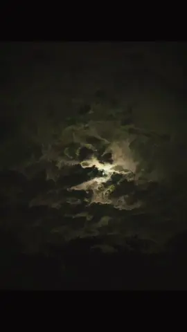 🌖⭐