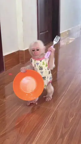 Beautiful cute little baby monkey and his Mummy #foryoupage❤️❤️ #viral #monkey #viralvideos 