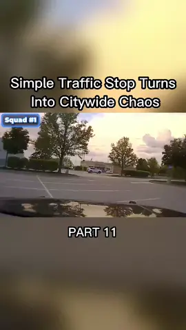 #police #bodycam 