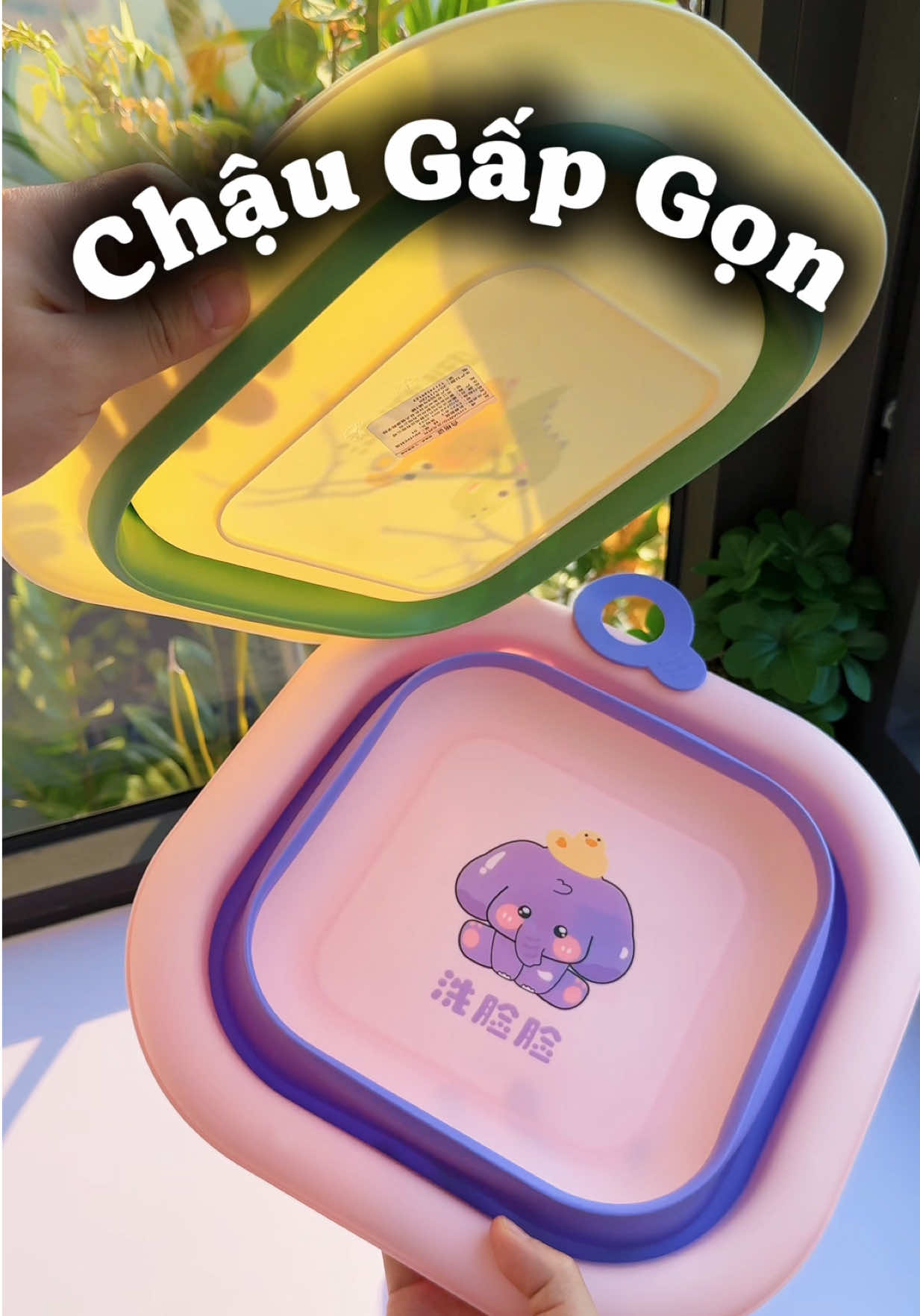 Công nhận có chậu gấp gọn này tiện lợi quá #chaugapgon #chaugapgonthongminh 