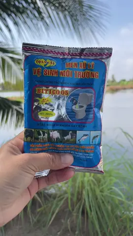 men hầm cầu #men #xh #menhamcau 